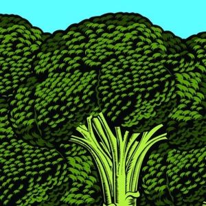 Meet your Posher, Agat